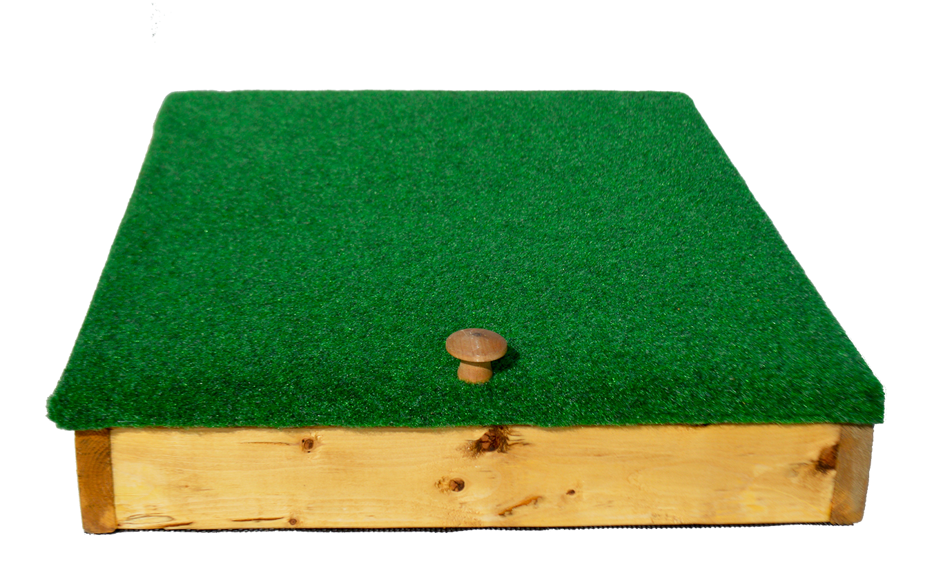 Southern Yorkies: Trinkle Turf